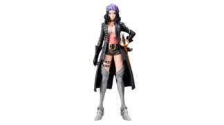 banpresto dxf-the-grandline-lady-robin